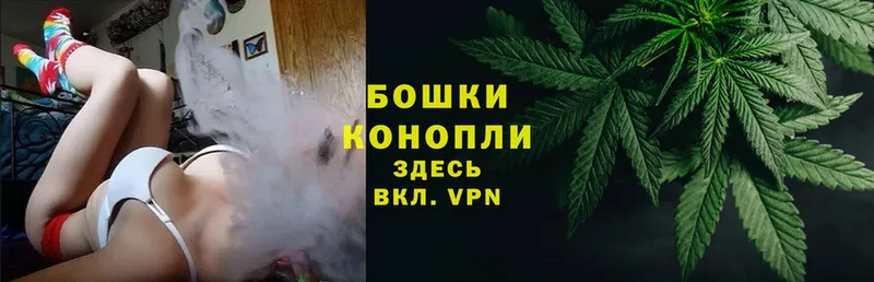 Бошки Шишки White Widow  купить наркоту  Купино 